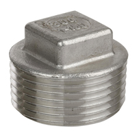 FPS-1800-SS 3/4 STEEL SQUARE HEAD PLUG 304STAINLESS